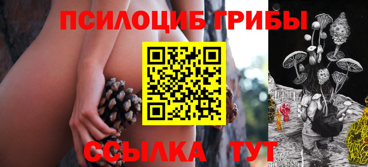 Губкин  Галлюциногенные грибы мухоморы  Псилоцибиновые грибы прущие грибы  Вход с VPN 